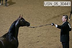 usn_05_30441 proof