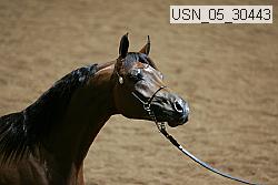 usn_05_30443 proof