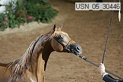 usn_05_30446 proof