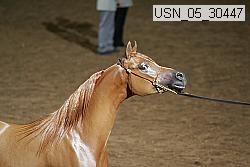 usn_05_30447 proof