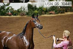 usn_05_30448 proof