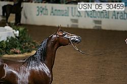 usn_05_30459 proof