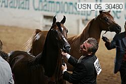 usn_05_30480 proof