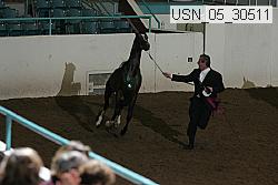 usn_05_30511 proof