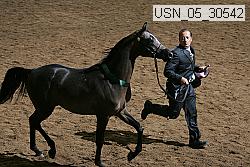 usn_05_30542 proof