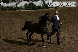 usn_05_30544 proof