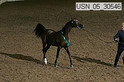 usn_05_30546 proof
