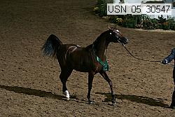 usn_05_30547 proof