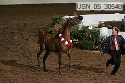 Proof usn_05_30548