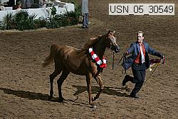 usn_05_30549 proof