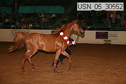 usn_05_30552 proof