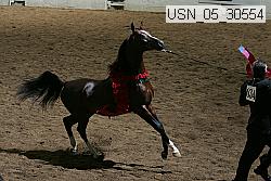 usn_05_30554 proof