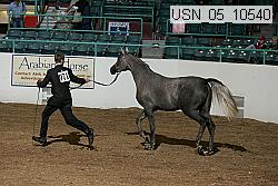 usn_05_10540 proof