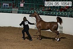 usn_05_10541 proof