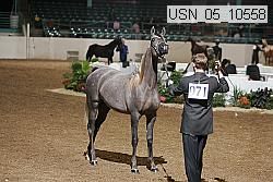 usn_05_10558 proof