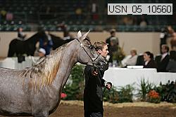 usn_05_10560 proof
