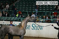 usn_05_10564 proof