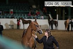 usn_05_10569 proof