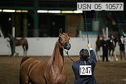 usn_05_10577 proof
