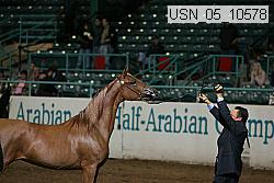 usn_05_10578 proof