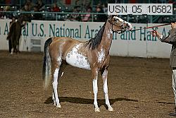 usn_05_10582 proof
