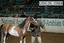 usn_05_10584 proof