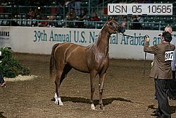 usn_05_10585 proof