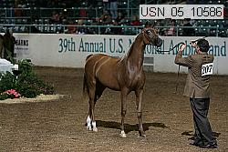 usn_05_10586 proof