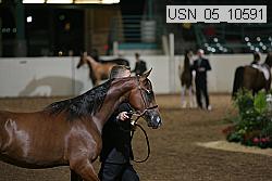 usn_05_10591 proof