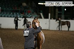 usn_05_10595 proof