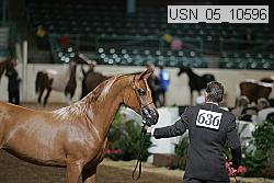 usn_05_10596 proof