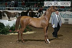 usn_05_10597 proof