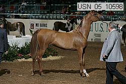 usn_05_10598 proof