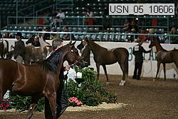 usn_05_10606 proof