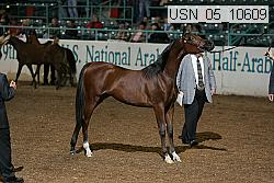 usn_05_10609 proof