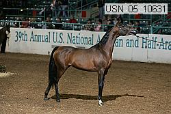 usn_05_10631 proof