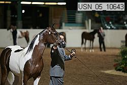 usn_05_10643 proof