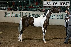 usn_05_10647 proof