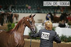 usn_05_10664 proof