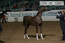 usn_05_10667 proof
