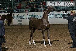 usn_05_10668 proof
