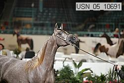 usn_05_10691 proof