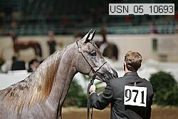 usn_05_10693 proof