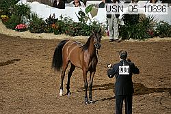 usn_05_10696 proof