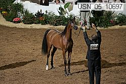 usn_05_10697 proof
