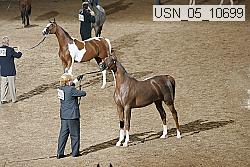 usn_05_10699 proof
