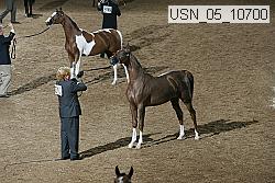 usn_05_10700 proof
