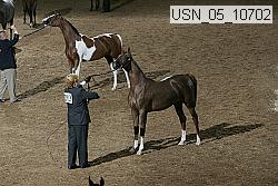 usn_05_10702 proof