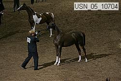 usn_05_10704 proof