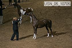 usn_05_10705 proof